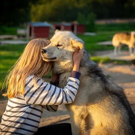 / Huskyfarm 캠프장 *
