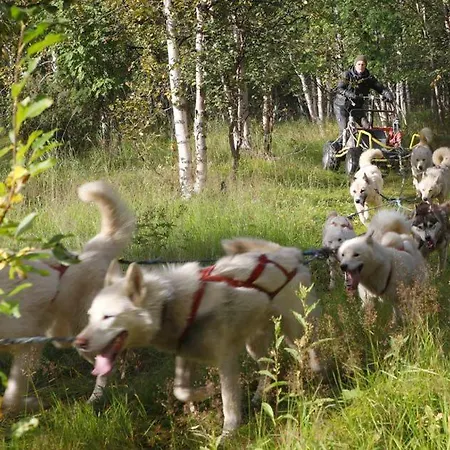 / Huskyfarm 캠프장 Innset