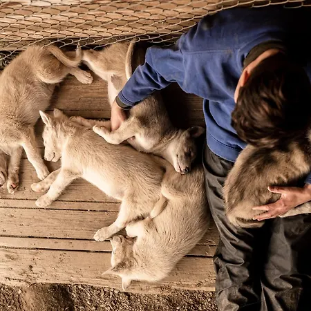 / Huskyfarm *
